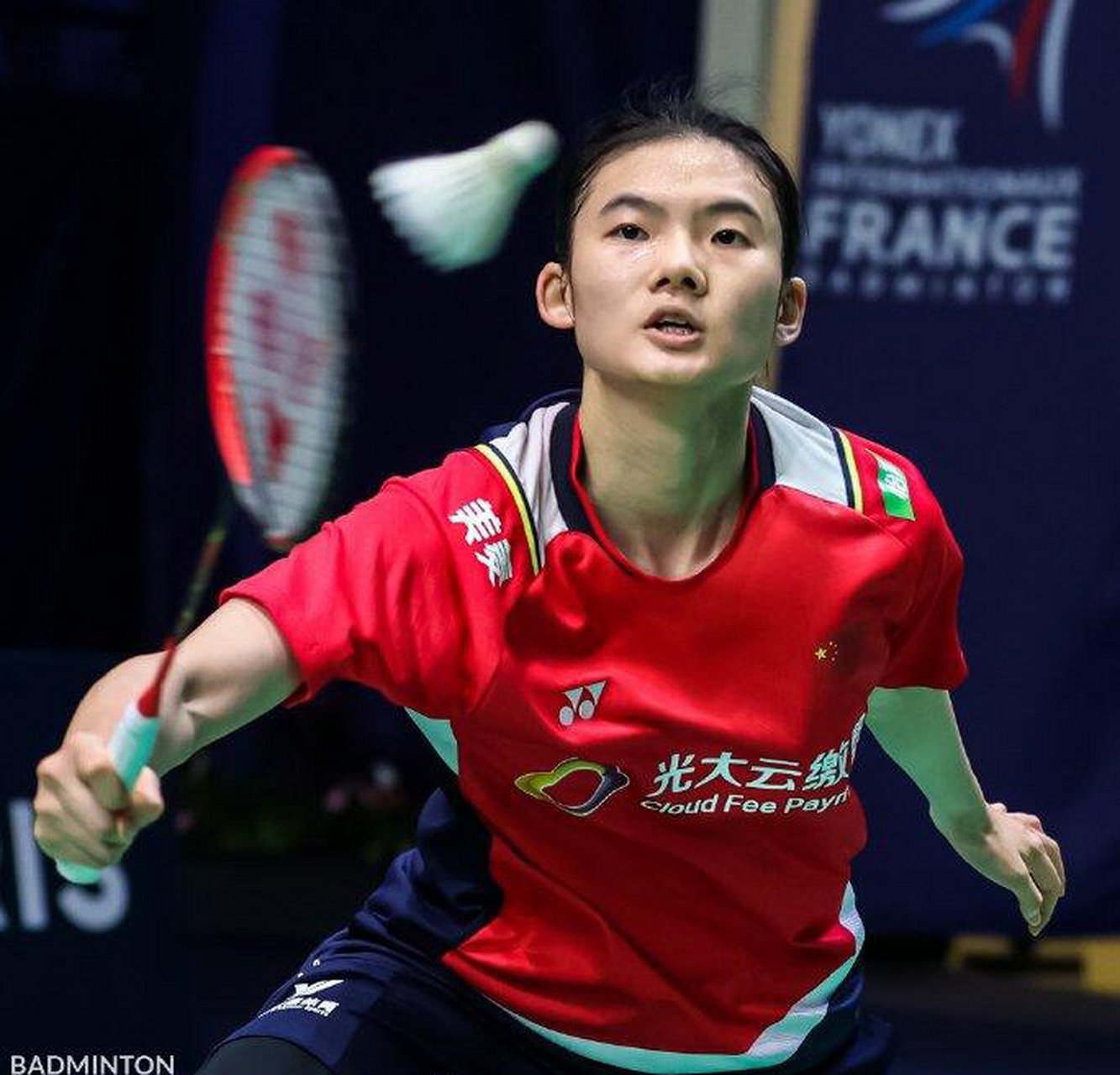 的职业生涯 的职业生涯