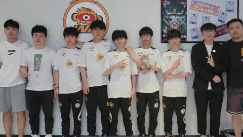 合理嵌入这 合理嵌入这